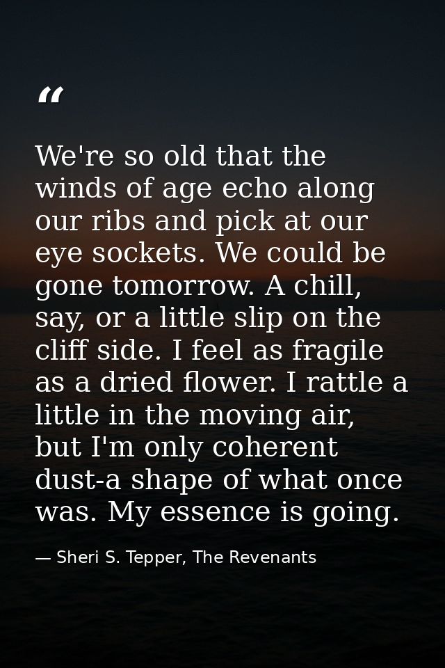 We're so old that the winds of age echo along our ribs and pick at our eye sockets. We could be gone tomorrow. A chill,  — Sheri S. Tepper, The Revenants