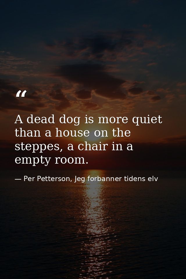 A dead dog is more quiet than a house on the steppes, a chair in a empty room. — Per Petterson, Jeg forbanner tidens elv