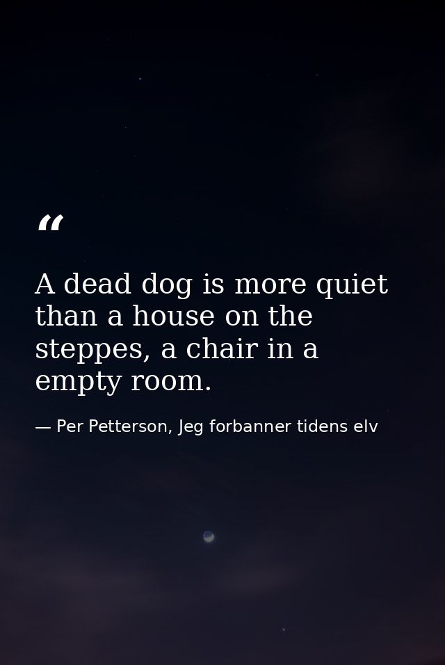 A dead dog is more quiet than a house on the steppes, a chair in a empty room. — Per Petterson, Jeg forbanner tidens elv