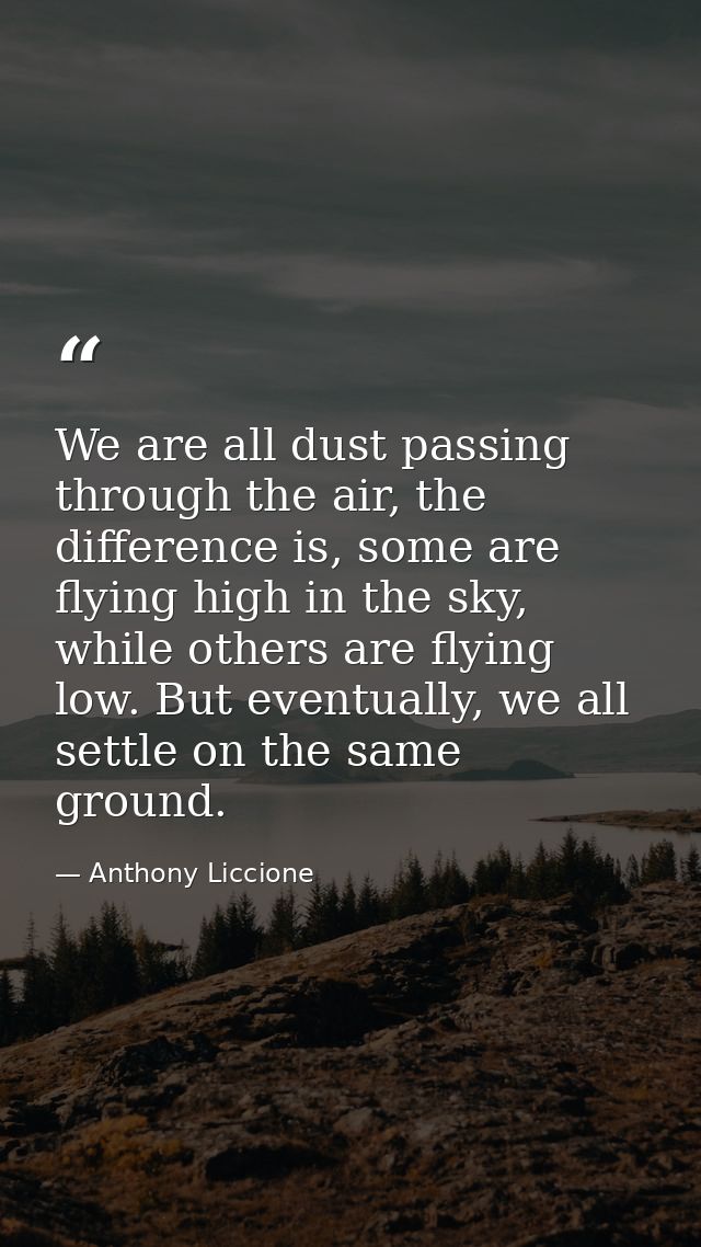 We are all dust passing through the air, the difference is, some are flying high in the sky, while others are flying low — Anthony Liccione