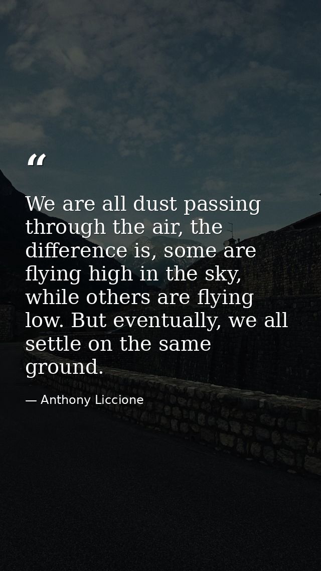 We are all dust passing through the air, the difference is, some are flying high in the sky, while others are flying low — Anthony Liccione