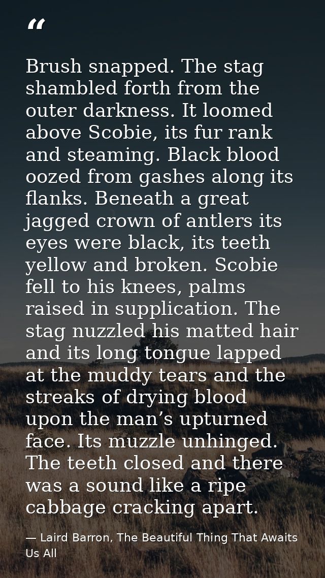 Brush snapped. The stag shambled forth from the outer darkness. It loomed above Scobie, its fur rank and steaming. Black — Laird Barron, The Beautiful Thing That Awaits Us All
