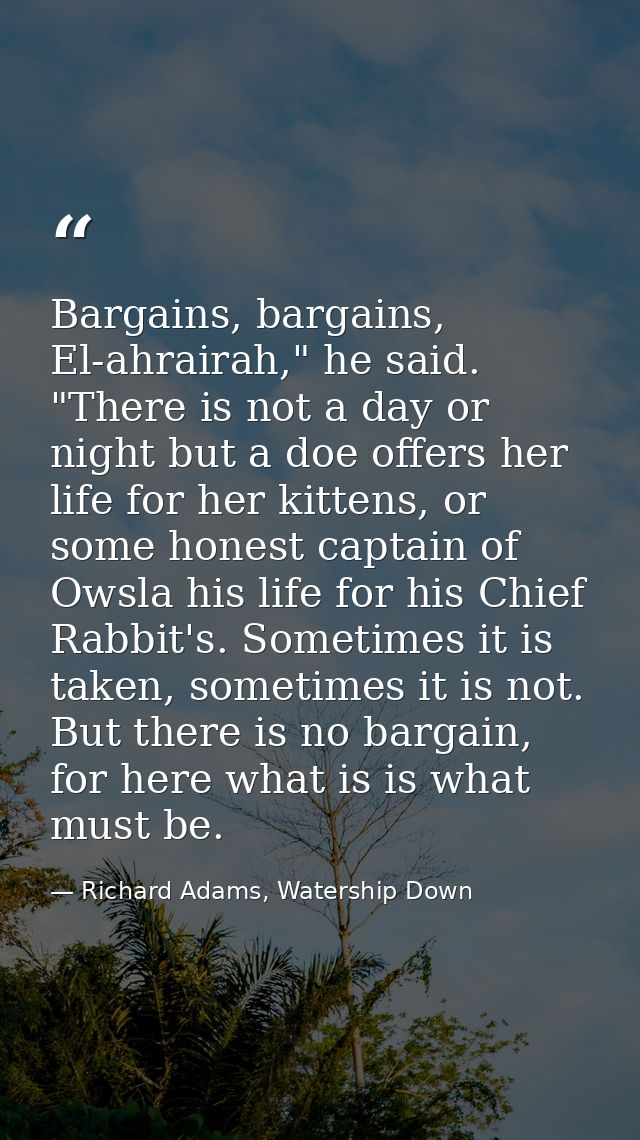 Bargains, bargains, El-ahrairah," he said. "There is not a day or night but a doe offers her life for her kittens, or so — Richard Adams, Watership Down