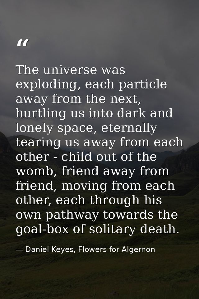 The universe was exploding, each particle away from the next, hurtling us into dark and lonely space, eternally tearing  — Daniel Keyes, Flowers for Algernon