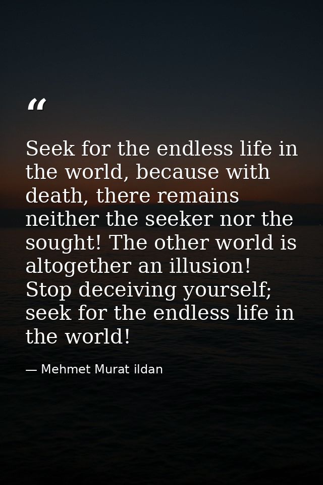 Seek for the endless life in the world, because with death, there remains neither the seeker nor the sought! The other w — Mehmet Murat ildan