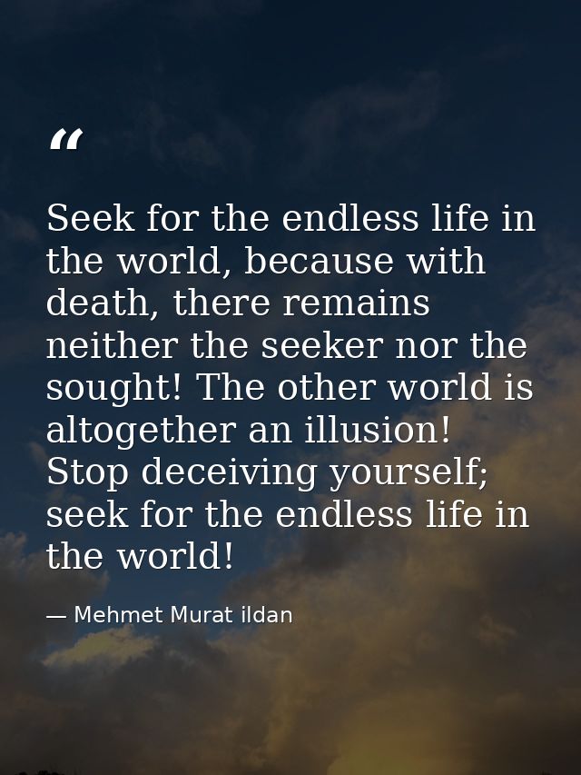 Seek for the endless life in the world, because with death, there remains neither the seeker nor the sought! The other w — Mehmet Murat ildan