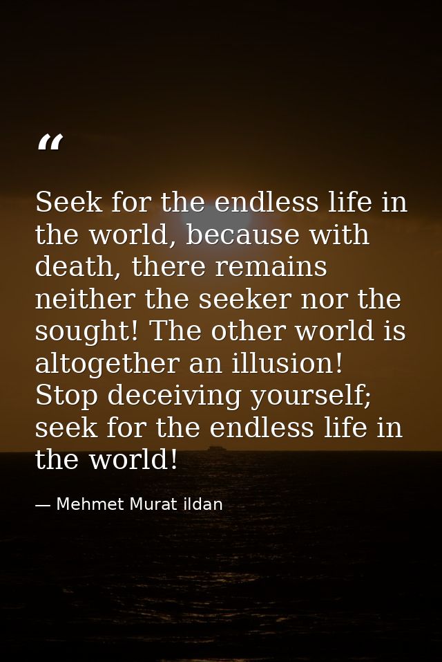 Seek for the endless life in the world, because with death, there remains neither the seeker nor the sought! The other w — Mehmet Murat ildan