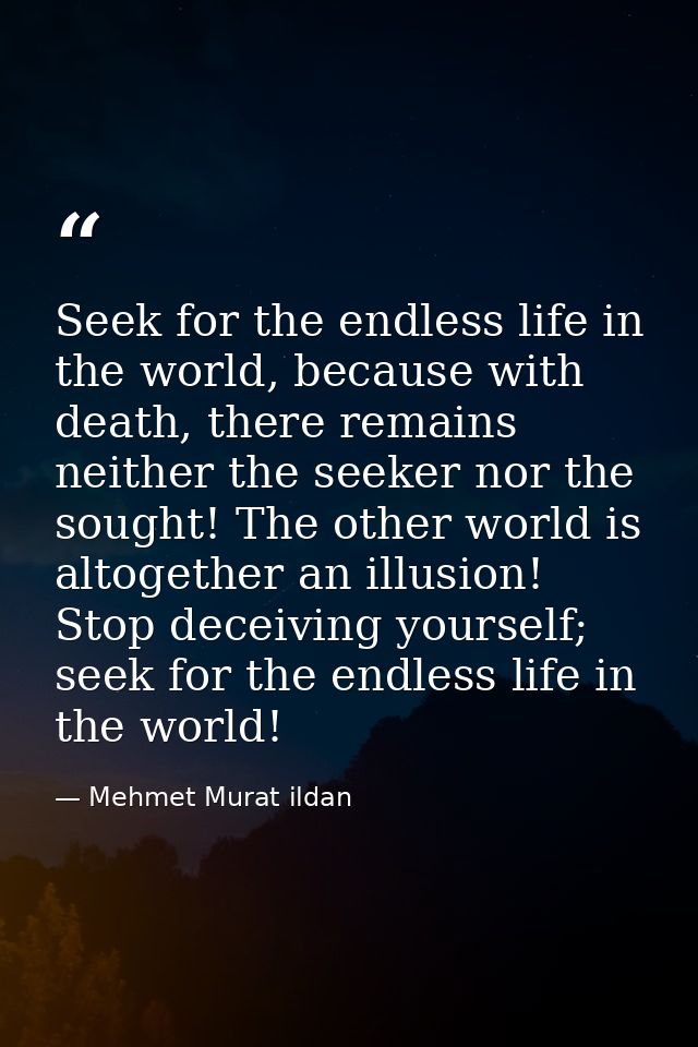 Seek for the endless life in the world, because with death, there remains neither the seeker nor the sought! The other w — Mehmet Murat ildan