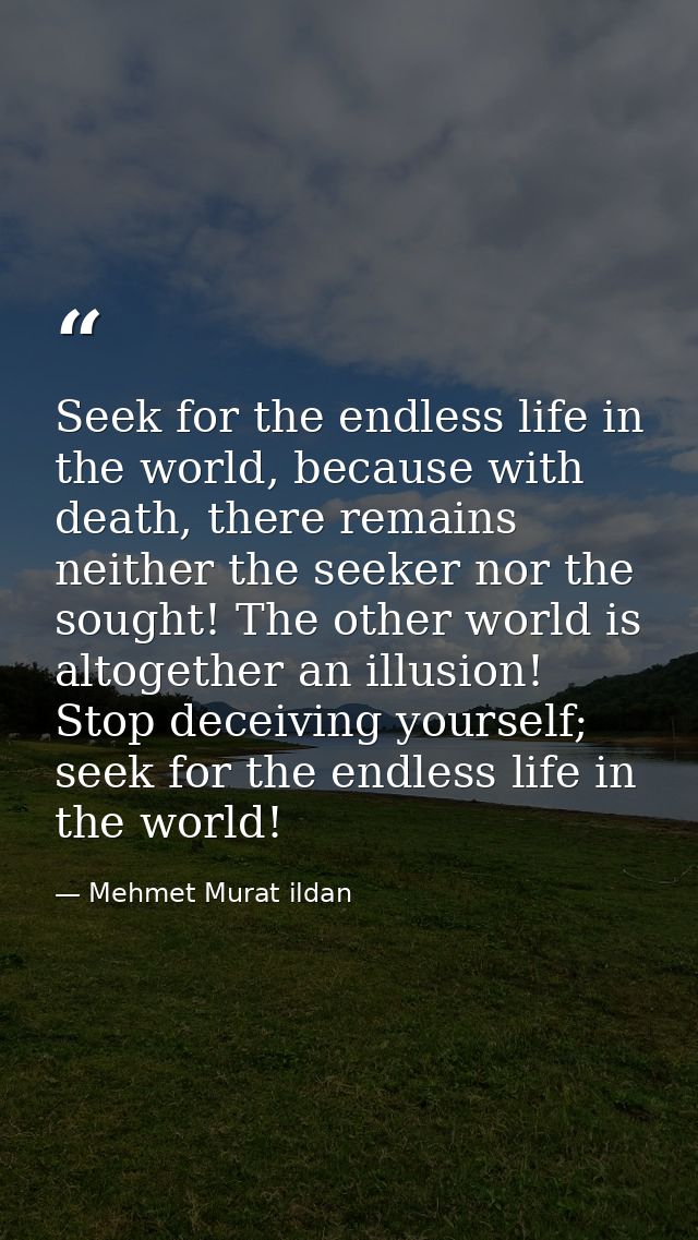 Seek for the endless life in the world, because with death, there remains neither the seeker nor the sought! The other w — Mehmet Murat ildan