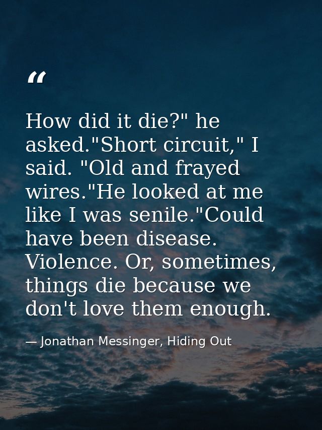 How did it die?" he asked."Short circuit," I said. "Old and frayed wires."He looked at me like I was senile."Could have  — Jonathan Messinger, Hiding Out