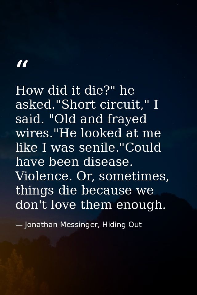 How did it die?" he asked."Short circuit," I said. "Old and frayed wires."He looked at me like I was senile."Could have  — Jonathan Messinger, Hiding Out