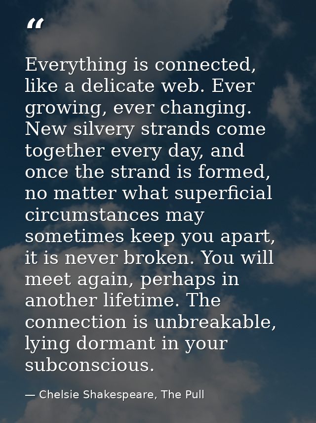Everything is connected, like a delicate web. Ever growing, ever changing. New silvery strands come together every day,  — Chelsie Shakespeare, The Pull