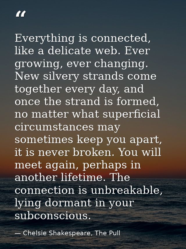 Everything is connected, like a delicate web. Ever growing, ever changing. New silvery strands come together every day,  — Chelsie Shakespeare, The Pull