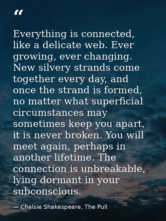Everything is connected, like a delicate web. Ever growing, ever changing. New silvery strands come together every day,  — Chelsie Shakespeare, The Pull