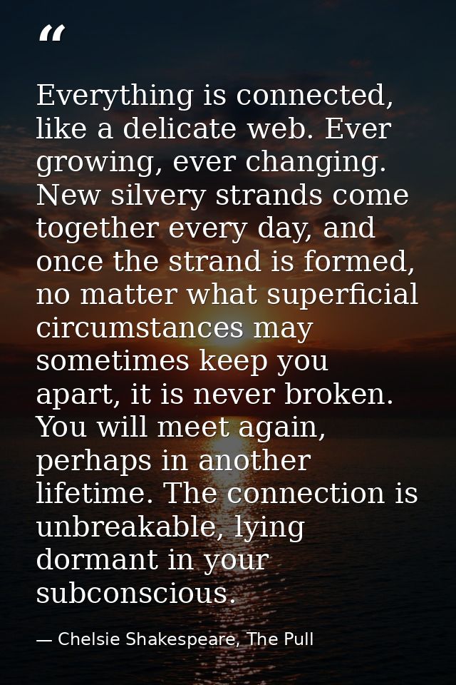 Everything is connected, like a delicate web. Ever growing, ever changing. New silvery strands come together every day,  — Chelsie Shakespeare, The Pull
