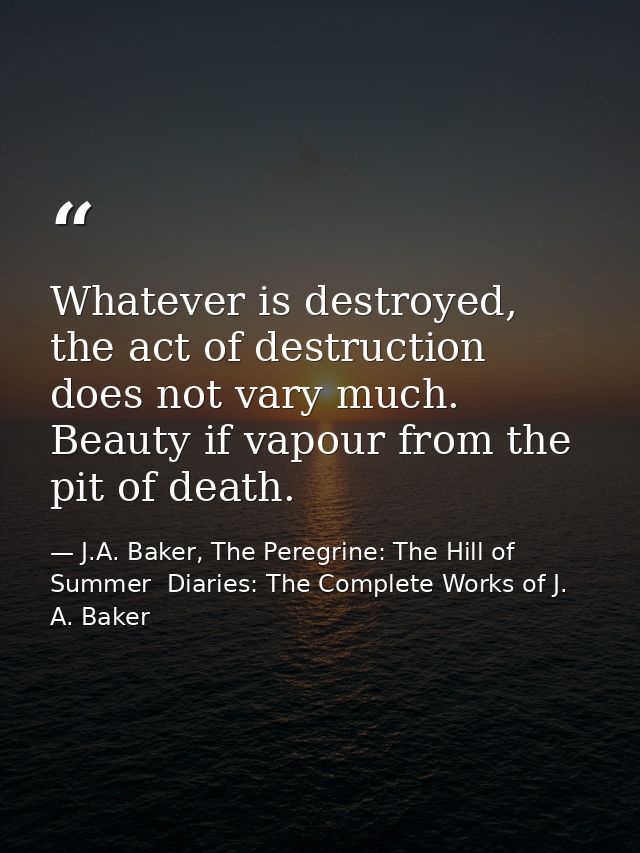Whatever is destroyed, the act of destruction does not vary much. Beauty if vapour from the pit of death. — J.A. Baker, The Peregrine: The Hill of Summer  Diaries: The Complete Works of J. A. Baker