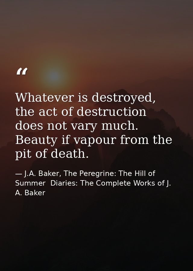 Whatever is destroyed, the act of destruction does not vary much. Beauty if vapour from the pit of death. — J.A. Baker, The Peregrine: The Hill of Summer  Diaries: The Complete Works of J. A. Baker