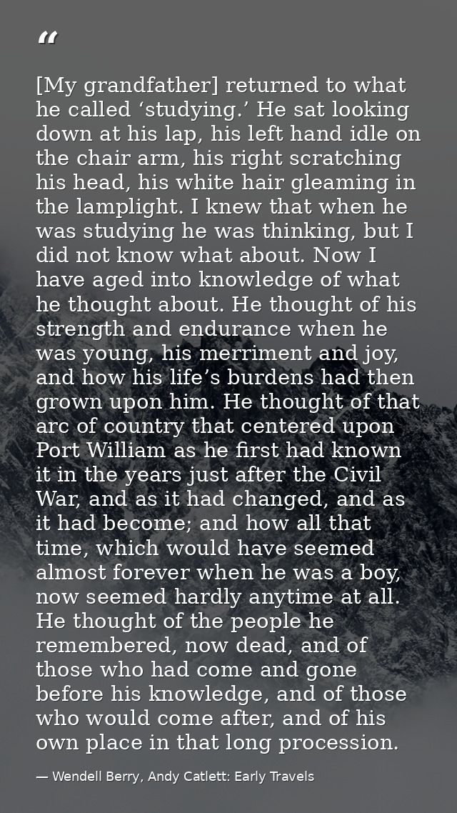 [My grandfather] returned to what he called ‘studying.’ He sat looking down at his lap, his left hand idle on the chair  — Wendell Berry, Andy Catlett: Early Travels
