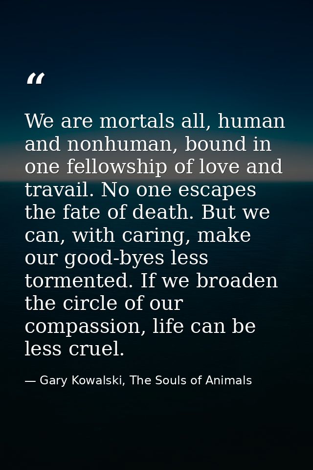 We are mortals all, human and nonhuman, bound in one fellowship of love and travail. No one escapes the fate of death. B — Gary Kowalski, The Souls of Animals