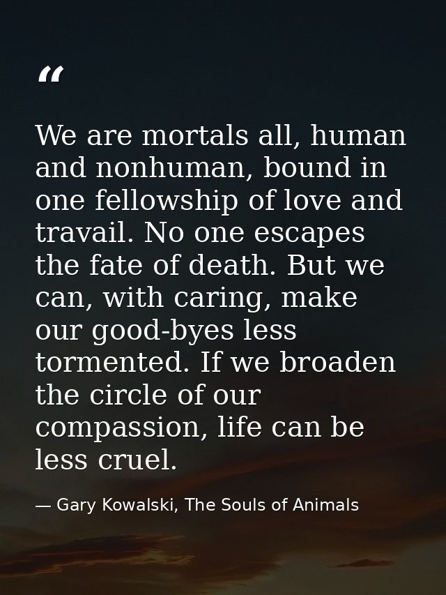 We are mortals all, human and nonhuman, bound in one fellowship of love and travail. No one escapes the fate of death. B — Gary Kowalski, The Souls of Animals