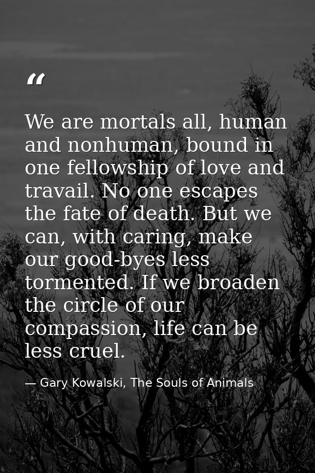 We are mortals all, human and nonhuman, bound in one fellowship of love and travail. No one escapes the fate of death. B — Gary Kowalski, The Souls of Animals