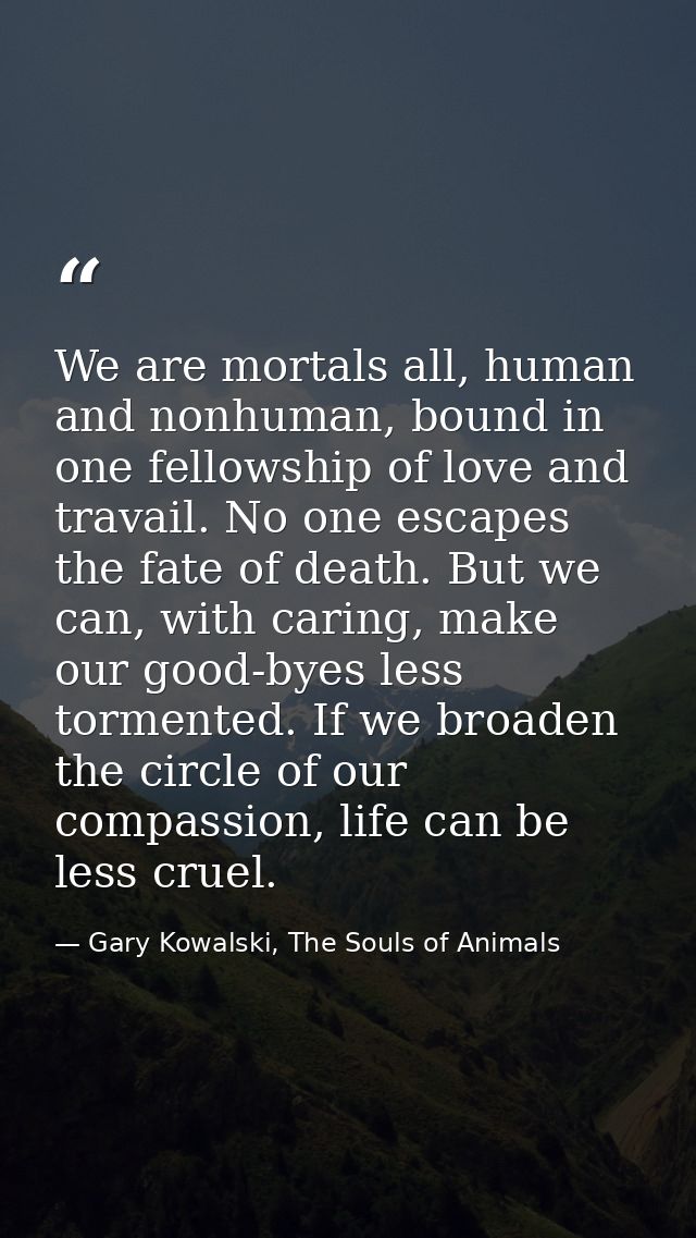 We are mortals all, human and nonhuman, bound in one fellowship of love and travail. No one escapes the fate of death. B — Gary Kowalski, The Souls of Animals