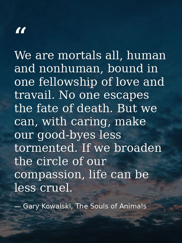 We are mortals all, human and nonhuman, bound in one fellowship of love and travail. No one escapes the fate of death. B — Gary Kowalski, The Souls of Animals