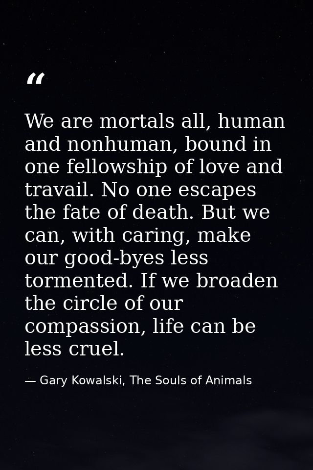 We are mortals all, human and nonhuman, bound in one fellowship of love and travail. No one escapes the fate of death. B — Gary Kowalski, The Souls of Animals