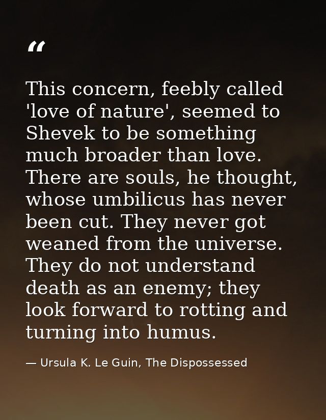 This concern, feebly called 'love of nature', seemed to Shevek to be something much broader than love. There are souls,  — Ursula K. Le Guin, The Dispossessed