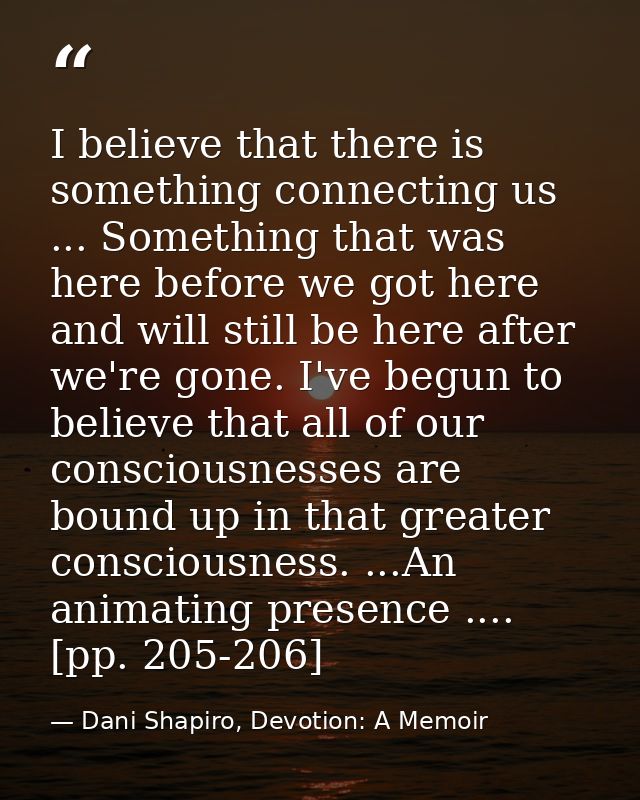 I believe that there is something connecting us ... Something that was here before we got here and will still be here af — Dani Shapiro, Devotion: A Memoir