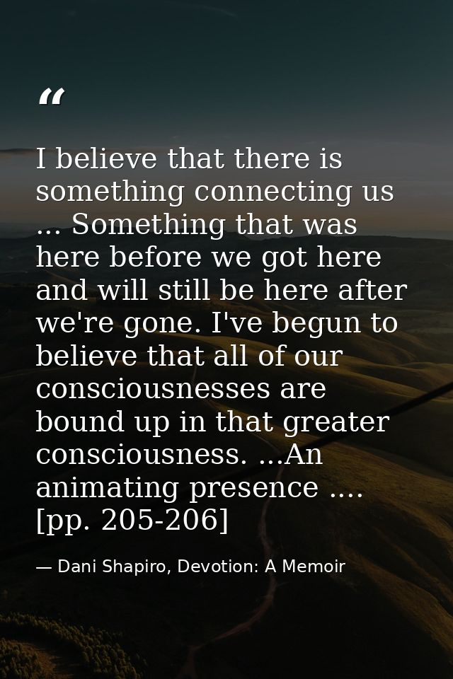 I believe that there is something connecting us ... Something that was here before we got here and will still be here af — Dani Shapiro, Devotion: A Memoir