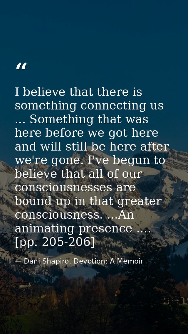 I believe that there is something connecting us ... Something that was here before we got here and will still be here af — Dani Shapiro, Devotion: A Memoir