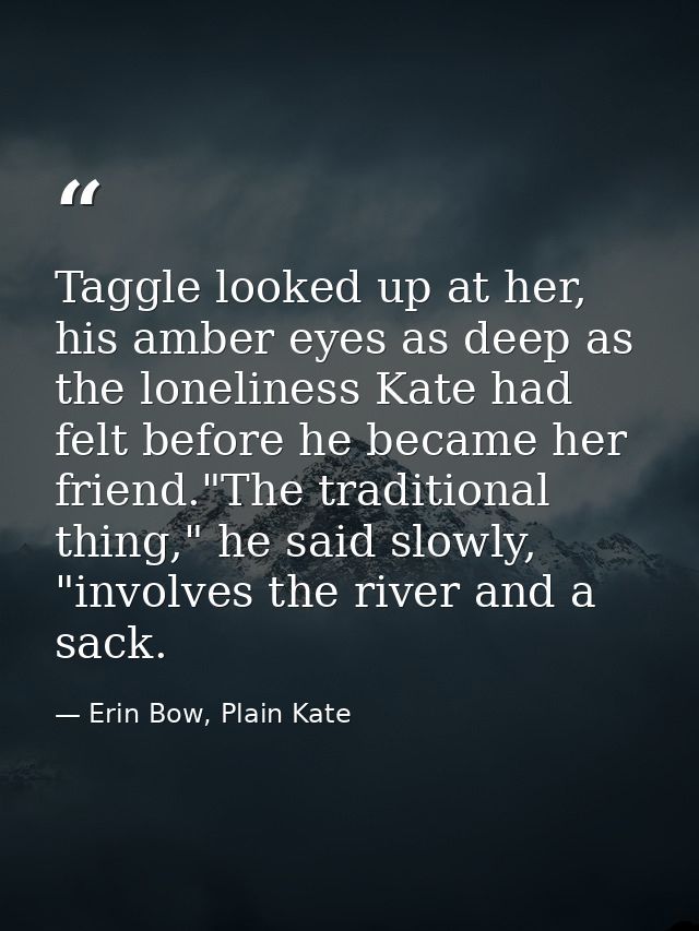 Taggle looked up at her, his amber eyes as deep as the loneliness Kate had felt before he became her friend."The traditi — Erin Bow, Plain Kate