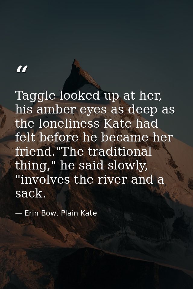 Taggle looked up at her, his amber eyes as deep as the loneliness Kate had felt before he became her friend."The traditi — Erin Bow, Plain Kate