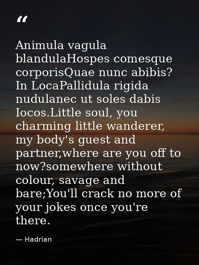 Animula vagula blandulaHospes comesque corporisQuae nunc abibis? In LocaPallidula rigida nudulanec ut soles dabis Iocos. — Hadrian