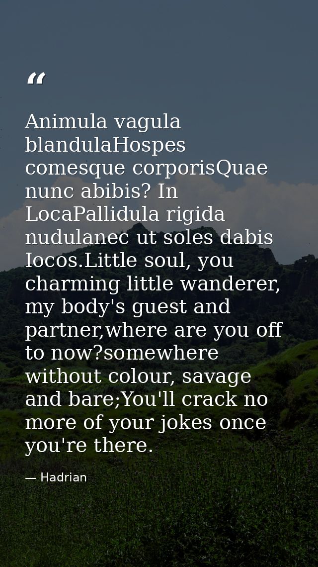 Animula vagula blandulaHospes comesque corporisQuae nunc abibis? In LocaPallidula rigida nudulanec ut soles dabis Iocos. — Hadrian