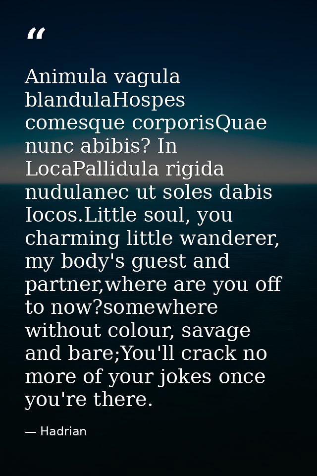 Animula vagula blandulaHospes comesque corporisQuae nunc abibis? In LocaPallidula rigida nudulanec ut soles dabis Iocos. — Hadrian