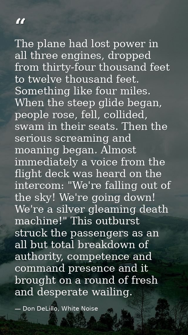 The plane had lost power in all three engines, dropped from thirty-four thousand feet to twelve thousand feet. Something — Don DeLillo, White Noise