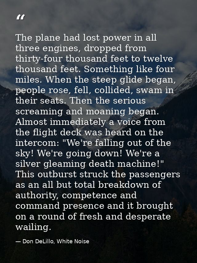 The plane had lost power in all three engines, dropped from thirty-four thousand feet to twelve thousand feet. Something — Don DeLillo, White Noise