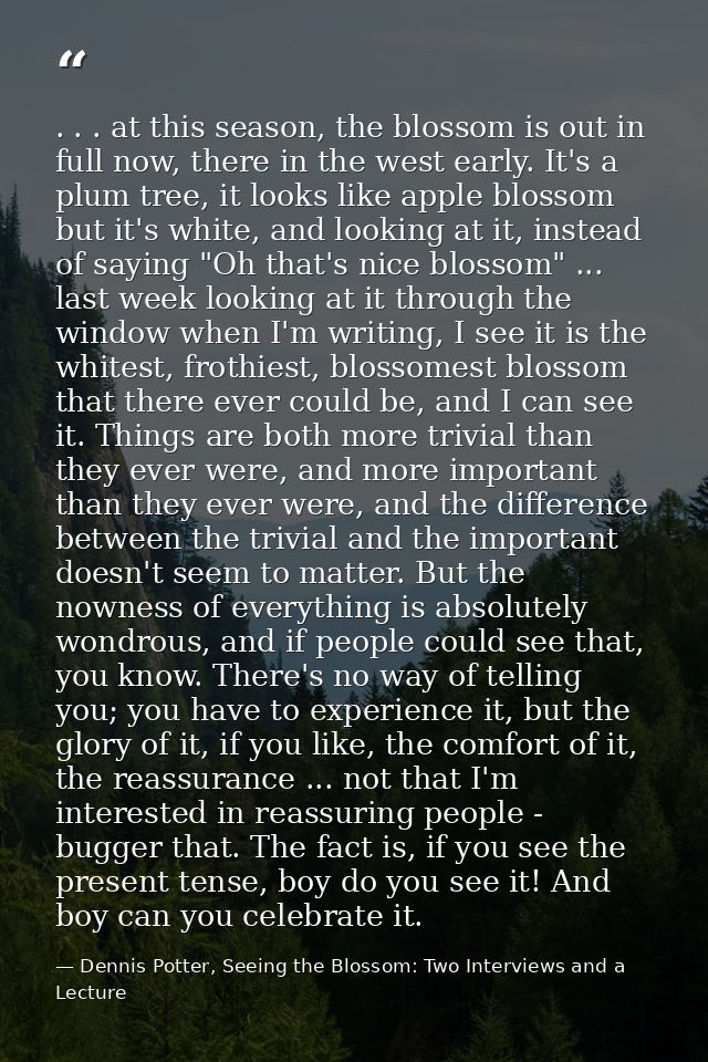 . . . at this season, the blossom is out in full now, there in the west early. It's a plum tree, it looks like apple blo — Dennis Potter, Seeing the Blossom: Two Interviews and a Lecture