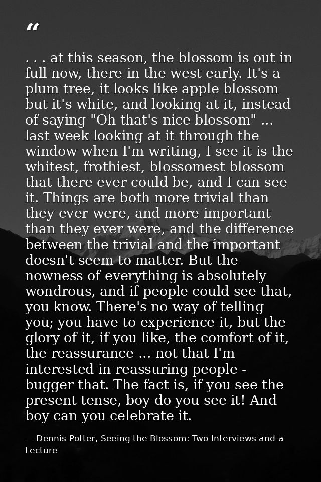 . . . at this season, the blossom is out in full now, there in the west early. It's a plum tree, it looks like apple blo — Dennis Potter, Seeing the Blossom: Two Interviews and a Lecture
