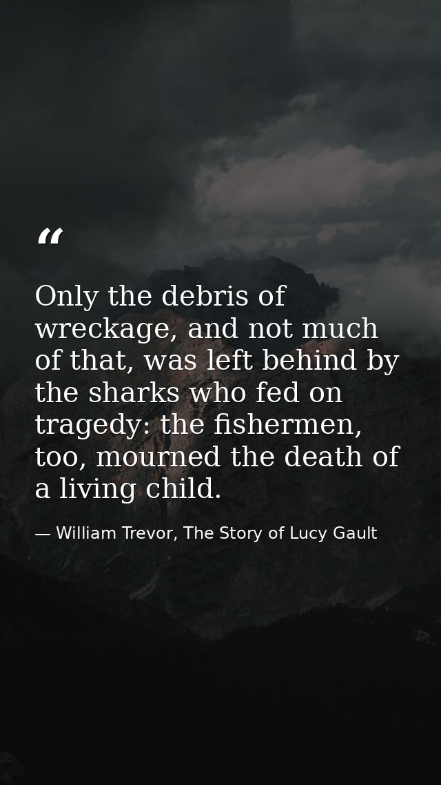 Only the debris of wreckage, and not much of that, was left behind by the sharks who fed on tragedy: the fishermen, too, — William Trevor, The Story of Lucy Gault