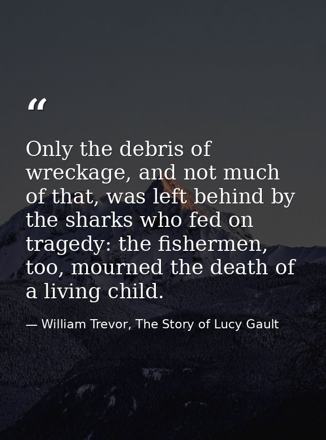 Only the debris of wreckage, and not much of that, was left behind by the sharks who fed on tragedy: the fishermen, too, — William Trevor, The Story of Lucy Gault