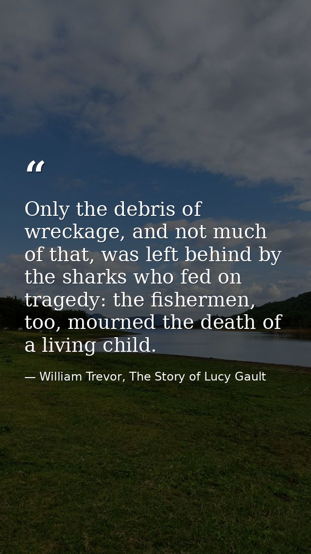 Only the debris of wreckage, and not much of that, was left behind by the sharks who fed on tragedy: the fishermen, too, — William Trevor, The Story of Lucy Gault