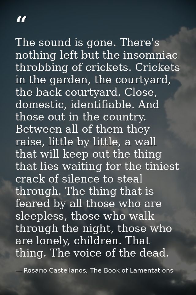 The sound is gone. There's nothing left but the insomniac throbbing of crickets. Crickets in the garden, the courtyard,  — Rosario Castellanos, The Book of Lamentations