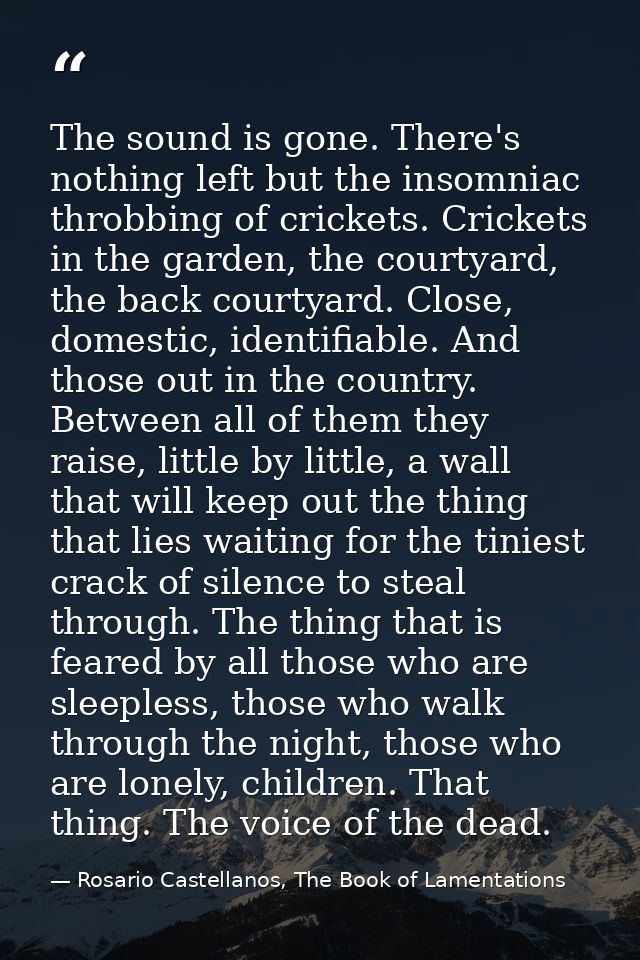 The sound is gone. There's nothing left but the insomniac throbbing of crickets. Crickets in the garden, the courtyard,  — Rosario Castellanos, The Book of Lamentations