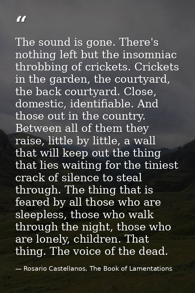 The sound is gone. There's nothing left but the insomniac throbbing of crickets. Crickets in the garden, the courtyard,  — Rosario Castellanos, The Book of Lamentations