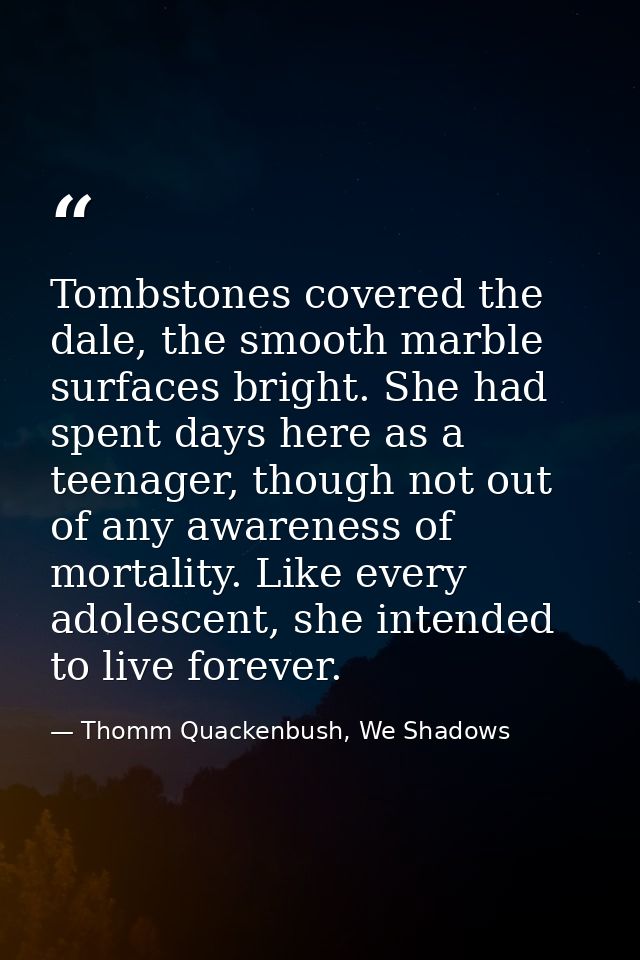 Tombstones covered the dale, the smooth marble surfaces bright. She had spent days here as a teenager, though not out of — Thomm Quackenbush, We Shadows