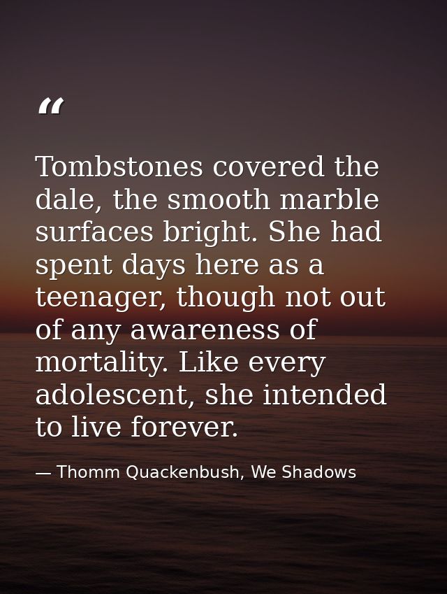 Tombstones covered the dale, the smooth marble surfaces bright. She had spent days here as a teenager, though not out of — Thomm Quackenbush, We Shadows