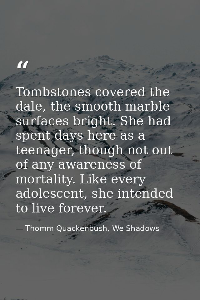 Tombstones covered the dale, the smooth marble surfaces bright. She had spent days here as a teenager, though not out of — Thomm Quackenbush, We Shadows